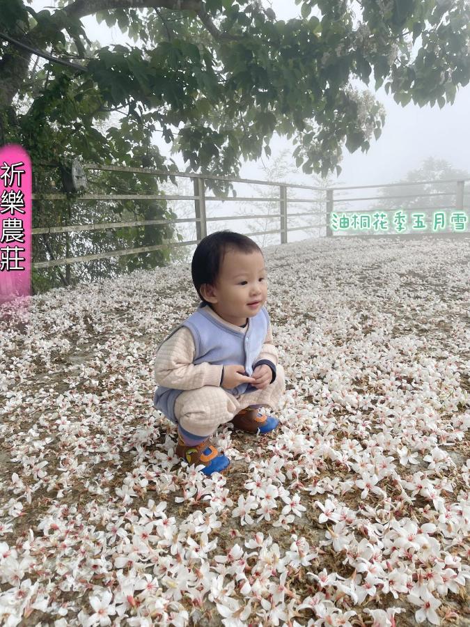 Lala Mountain Homestay‧Cile Farm Hualing Exteriér fotografie